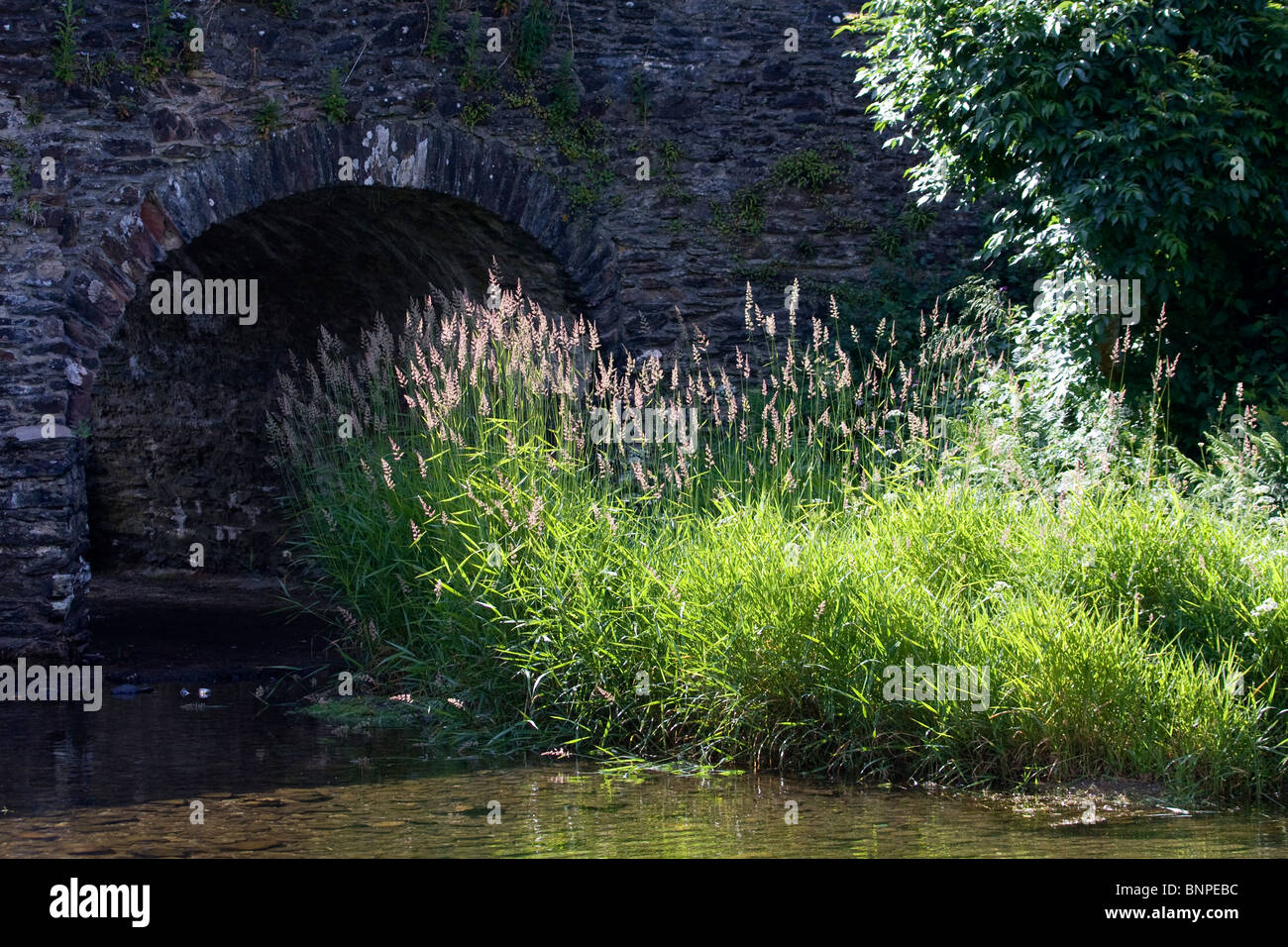 Pont sur la rivière Barle Withypool dans Exmoor national park Banque D'Images