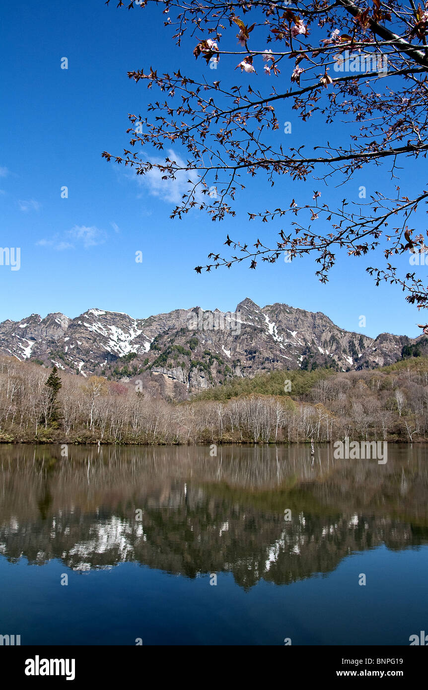 Ike Kagami (Miroir) Le lac au printemps avec Sanctuaire Togakushi naturellement encadrée de montagnes Sakura japonais traditionnel. Banque D'Images