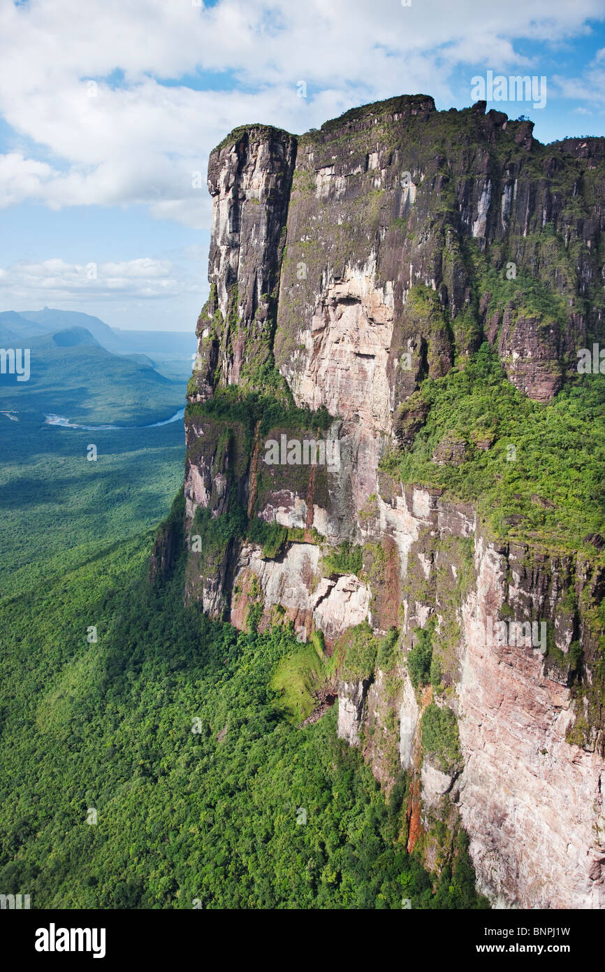 Tepuis sont plats en tête des montagnes de grès avec flancs verticaux passant dans l'altitude de 3000 mètres au-dessus de la forêt Le Venezuela Banque D'Images