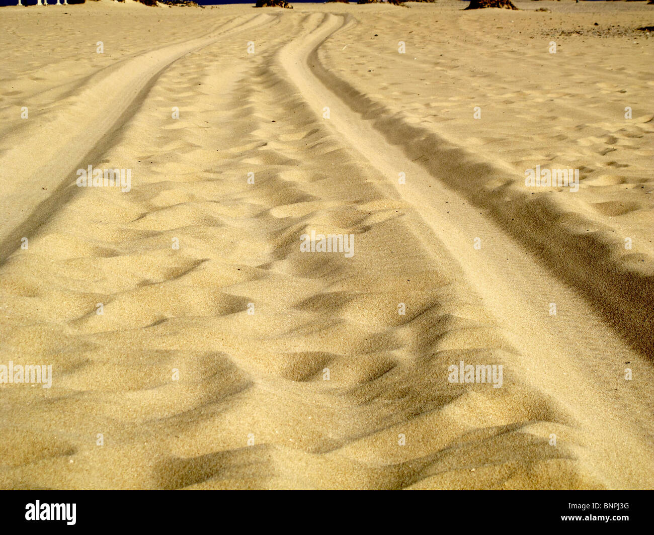 Les traces de pneus sur la plage de sable Banque D'Images