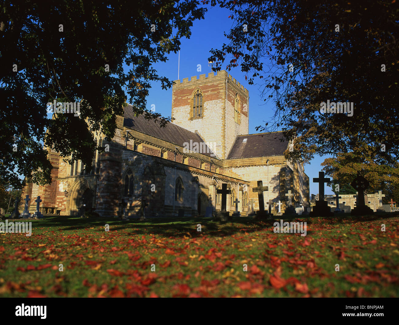 La Cathédrale de St Asaph en automne St Asaph, Denbighshire North Wales UK Banque D'Images