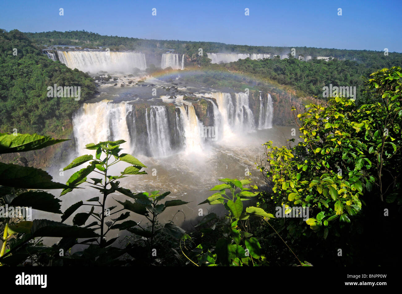 Les chutes d'Iguazu, l'un des pays d'Amérique latine les plus impressionnantes merveilles naturelles. Banque D'Images