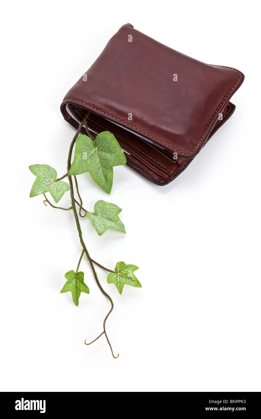 Portefeuille et plante, concept de récession Banque D'Images