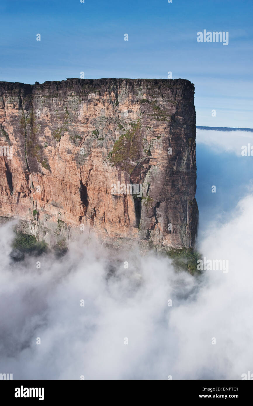 Le Roraima est le plus haut atteint 2810 mètres tepui dans l'altitude. Dessus plat couvert de nuages montagnes. Le Venezuela Banque D'Images
