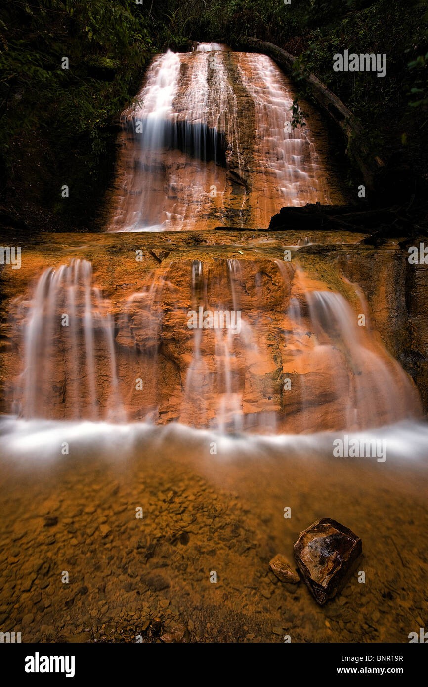 Golden Cascade Falls, Big Basin State Park, Californie, USA Banque D'Images