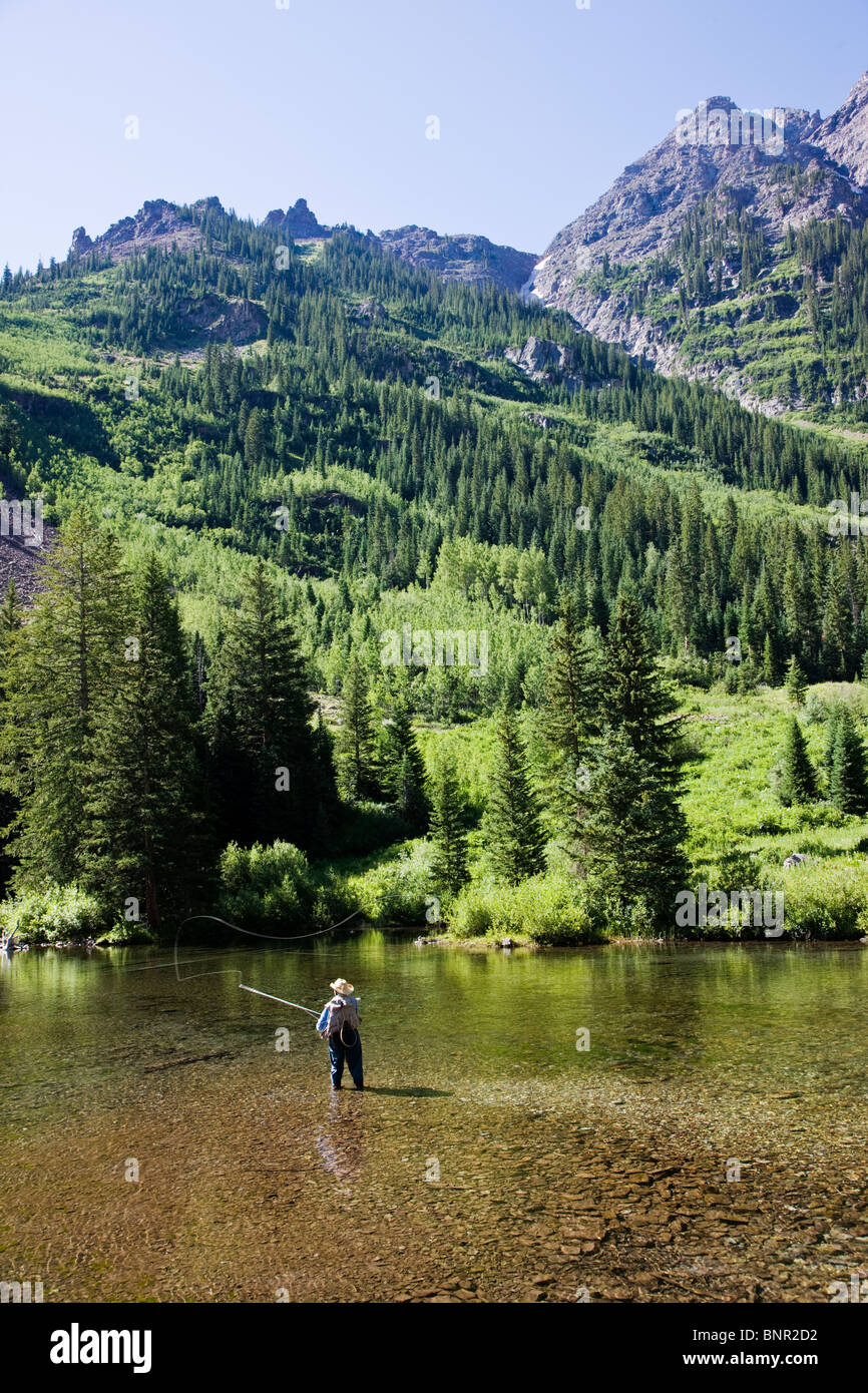 Il a pris sa retraite de mouche au Maroon Creek, Maroon Bells Snowmass Wilderness Area, White River National Forest, Colorado, USA Banque D'Images