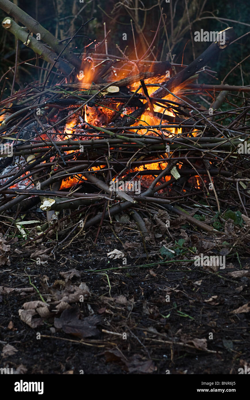 La combustion d'un feu de jardin arbustes et nettoyé le bois, souvent à l'origine de différends entre voisins Banque D'Images