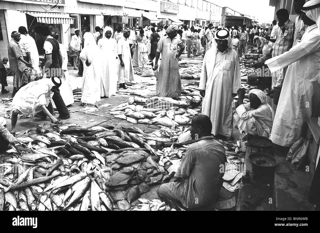 Marché de poissons à Deira, comme c'était en 1975, à Dubaï Banque D'Images