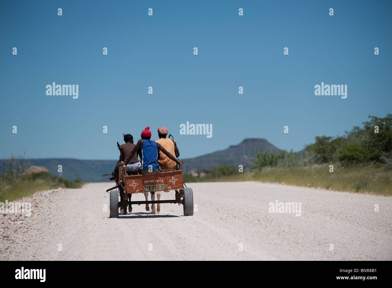 Transport local personnes équitation dans une charrette à âne en Namibie Grootberg Banque D'Images
