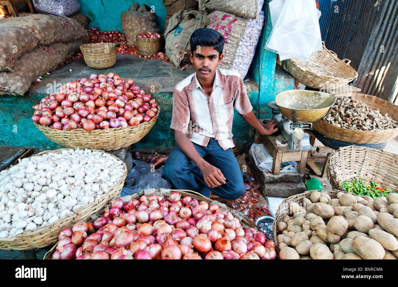 Inde - Karnataka - Mysore - légumes pour la vente au marché Devaraja Banque D'Images