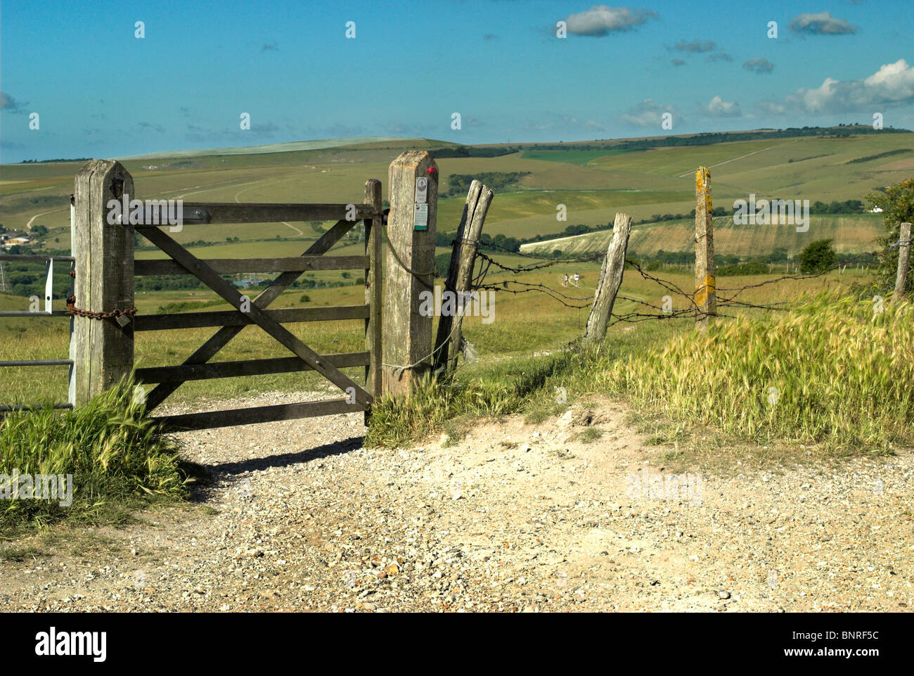 Une porte à la South Downs Way menant à la rivière Adur Valley près de Coombes et Steyning - Parc National des South Downs. Banque D'Images