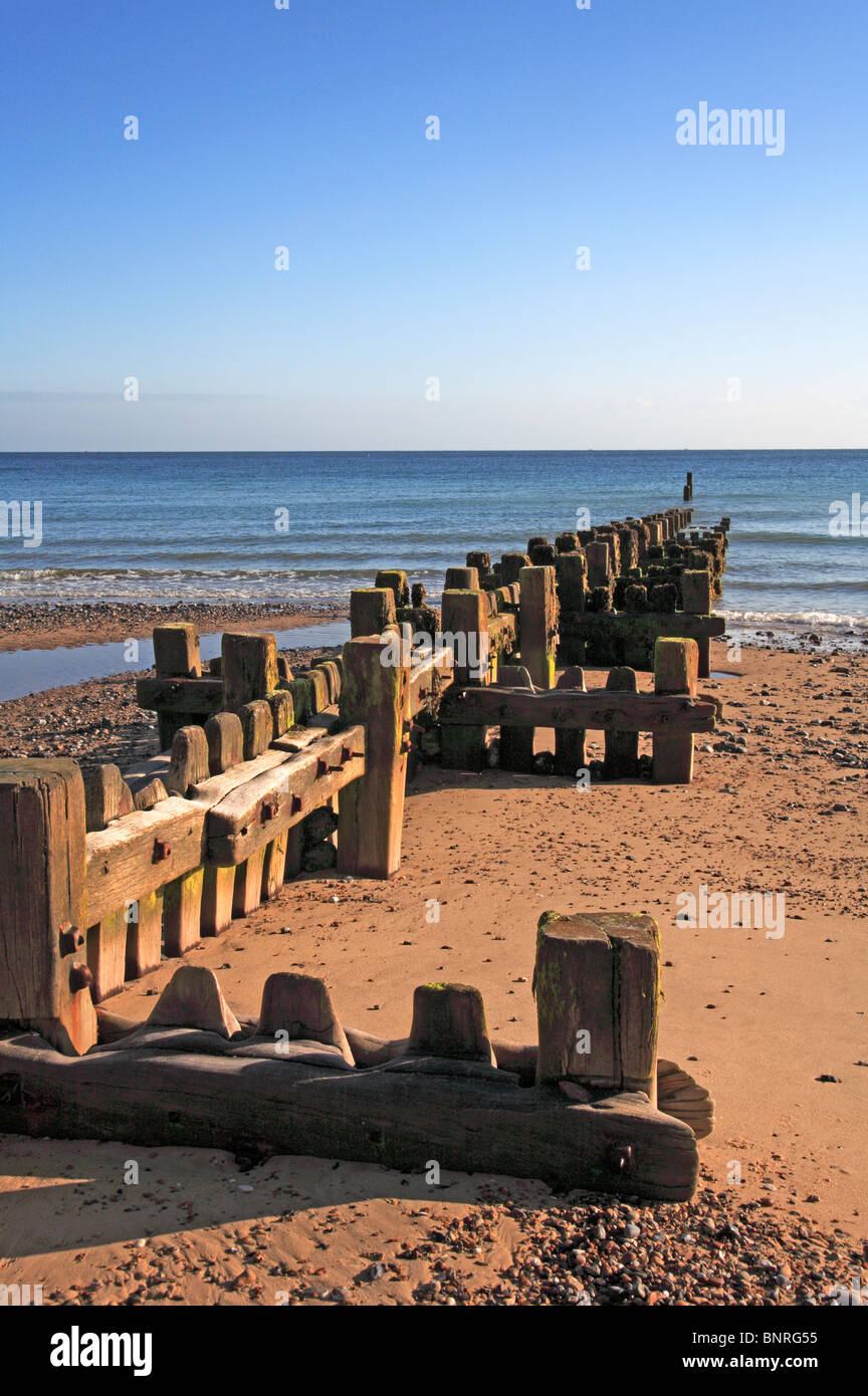 Un brise-lames en bois au début de la lumière du matin sur la plage à Overstrand, Norfolk, Angleterre, Royaume-Uni. Banque D'Images