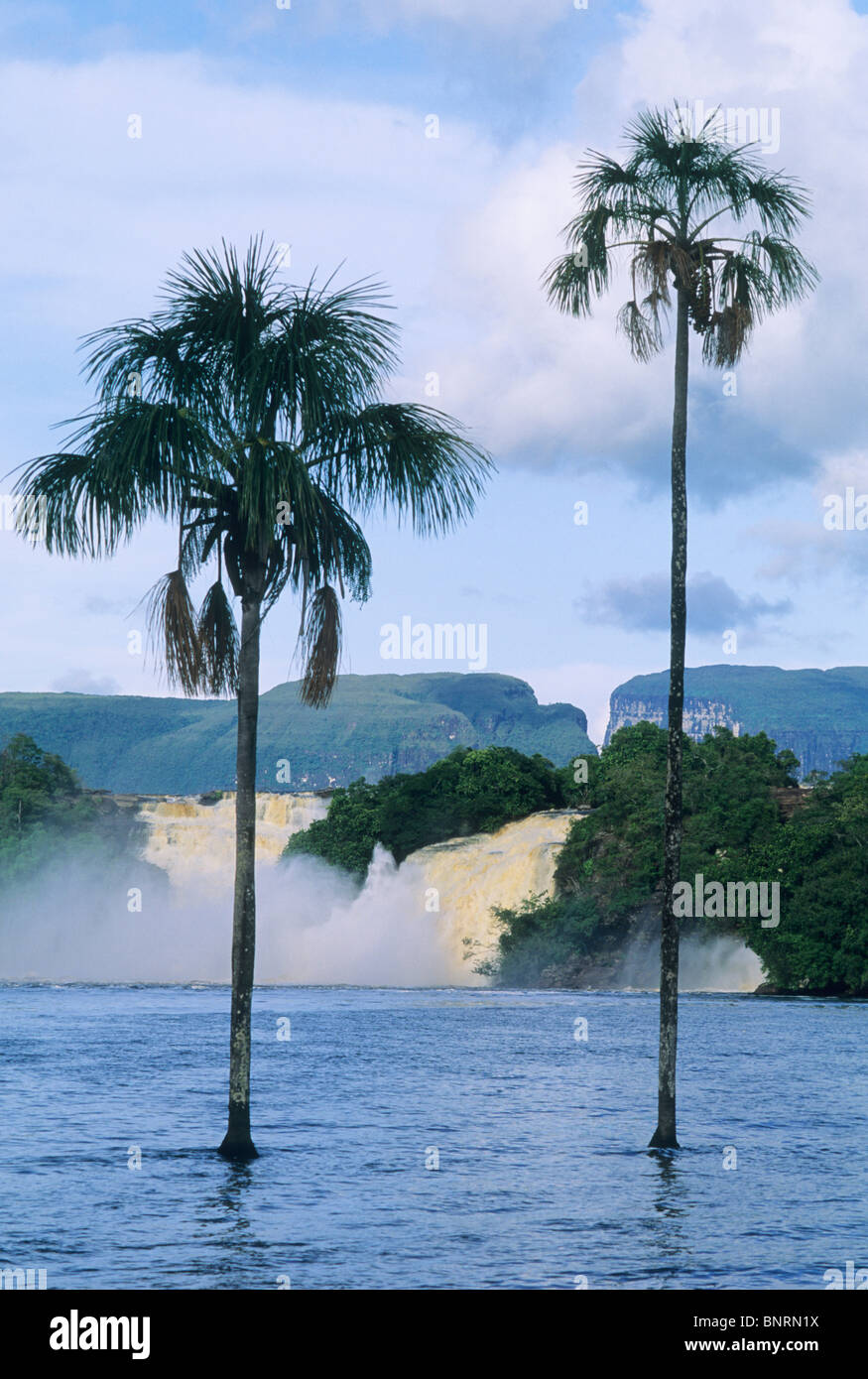 Le Venezuela, Parc national Canaima, Hacha Falls, Rio Carrao, dawn parmi  les "tepuis Photo Stock - Alamy