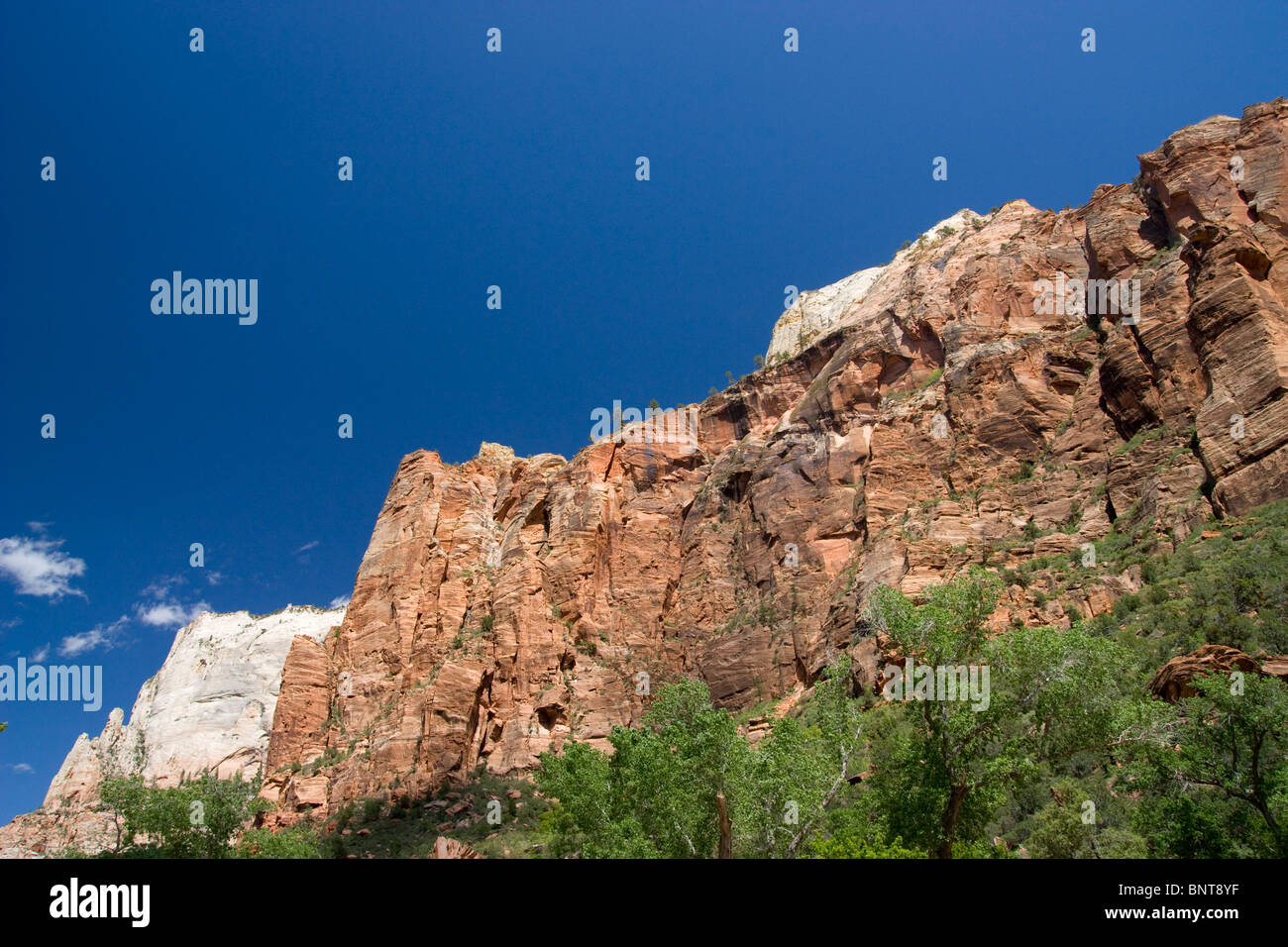 Vue paysage du Zion Canyon National Park Banque D'Images