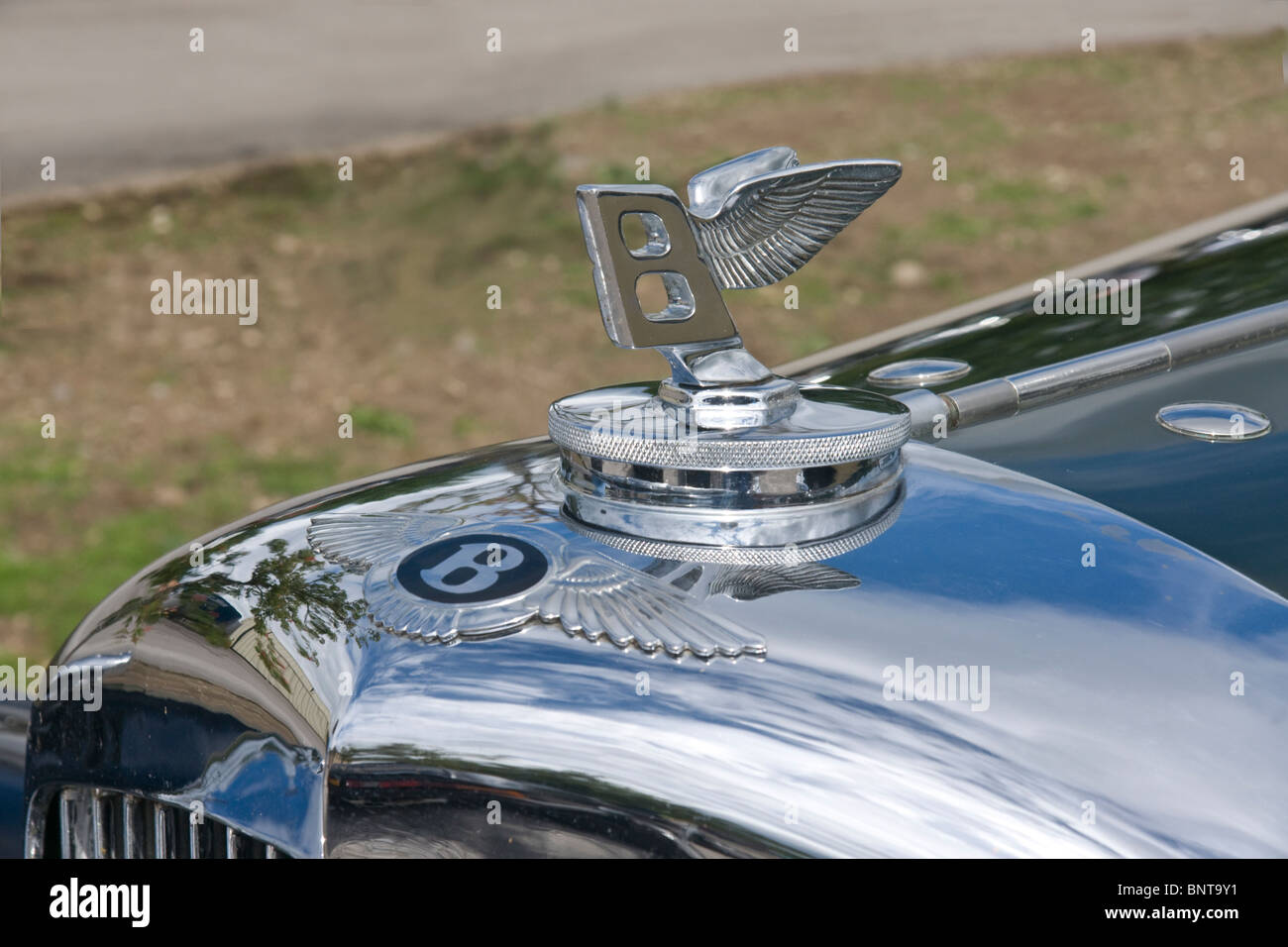 Badge du radiateur et de l'emblème sur un 1936 Bentley Motor Car. Banque D'Images