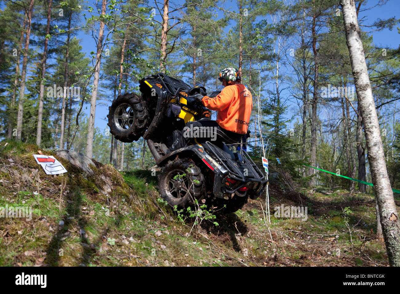 La conduite de VTT dans le bois Banque D'Images
