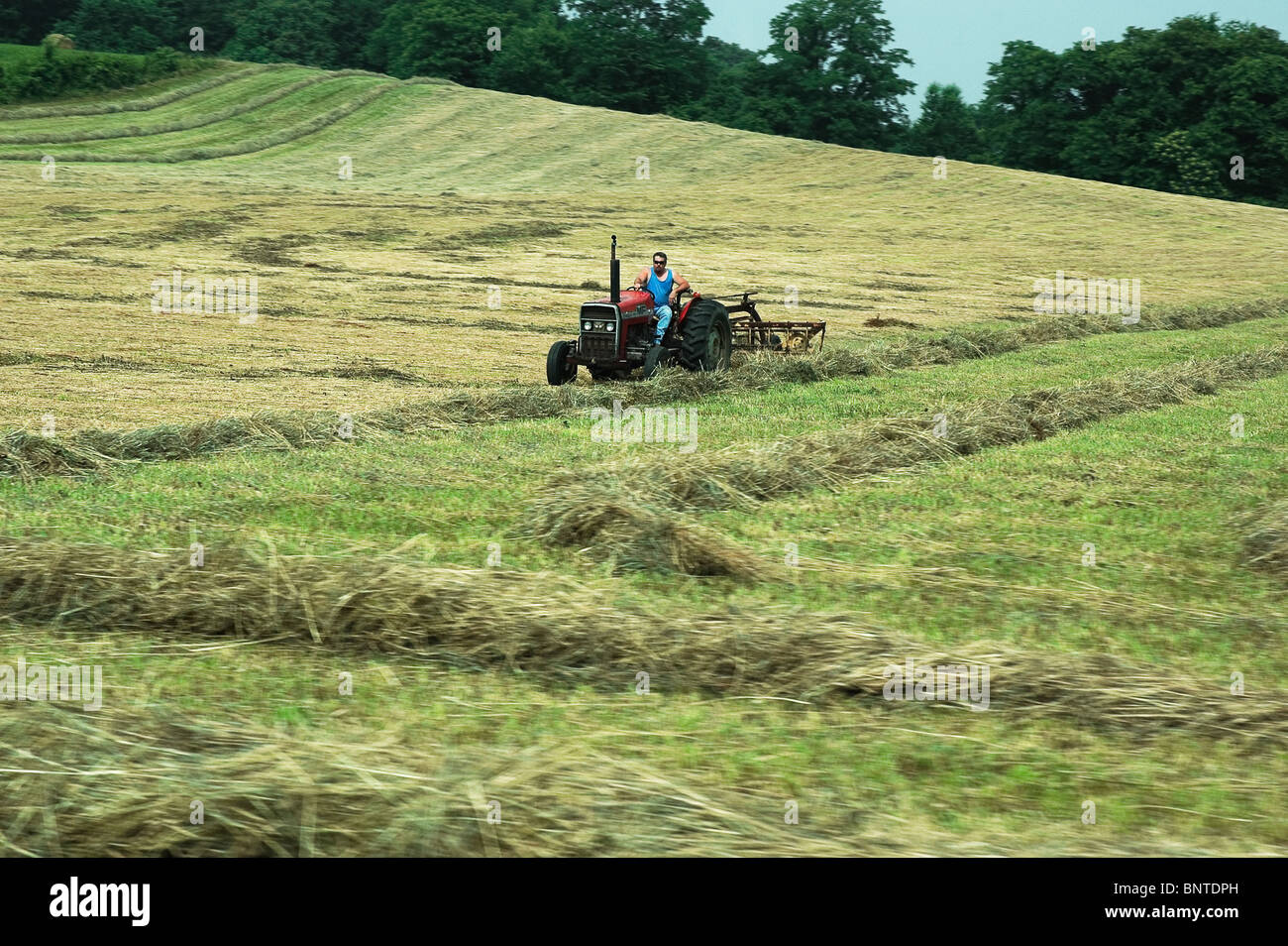 Un agriculteur de la tonte sa fauche, Kentucky. Banque D'Images