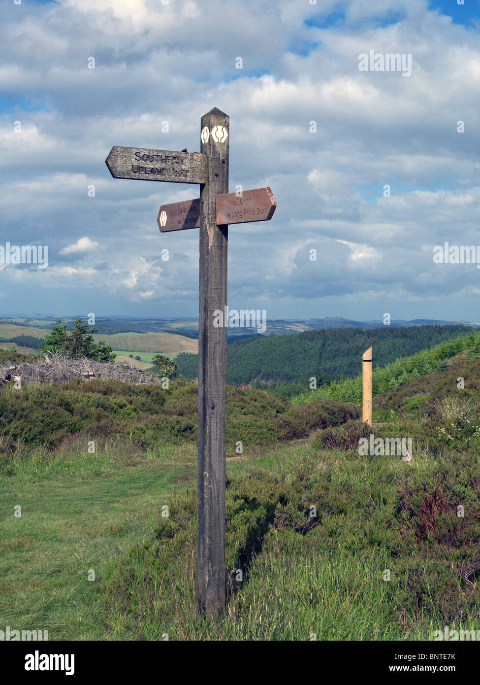 Fingerpost en bois donnant divers droits de passage publics partie chemin jusqu'à la Trois frères Hill dans la Tweed Valley Forest Park Banque D'Images