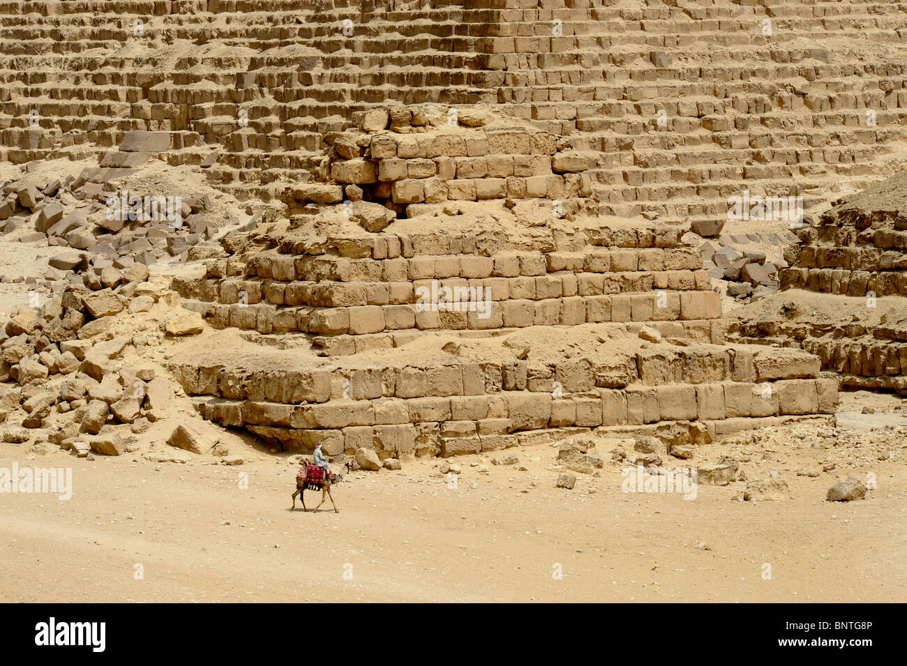 Jockey de chameau , pyramides de Gizeh, Nécropole de Gizeh bordant ce qui est aujourd'hui El Giza, Le Caire , Egypte Banque D'Images