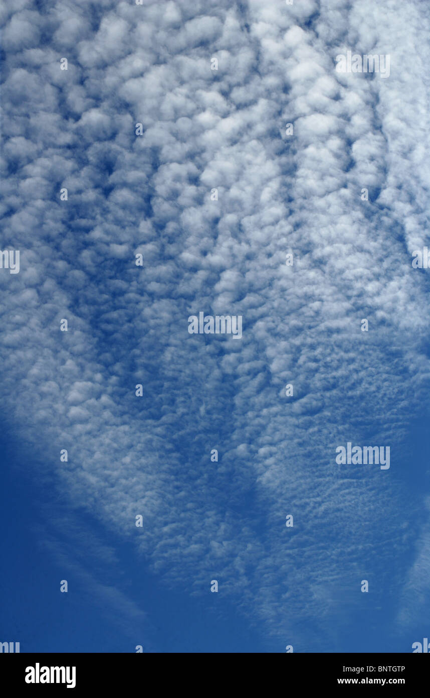 La formation des nuages - ackerel "Sky' Banque D'Images