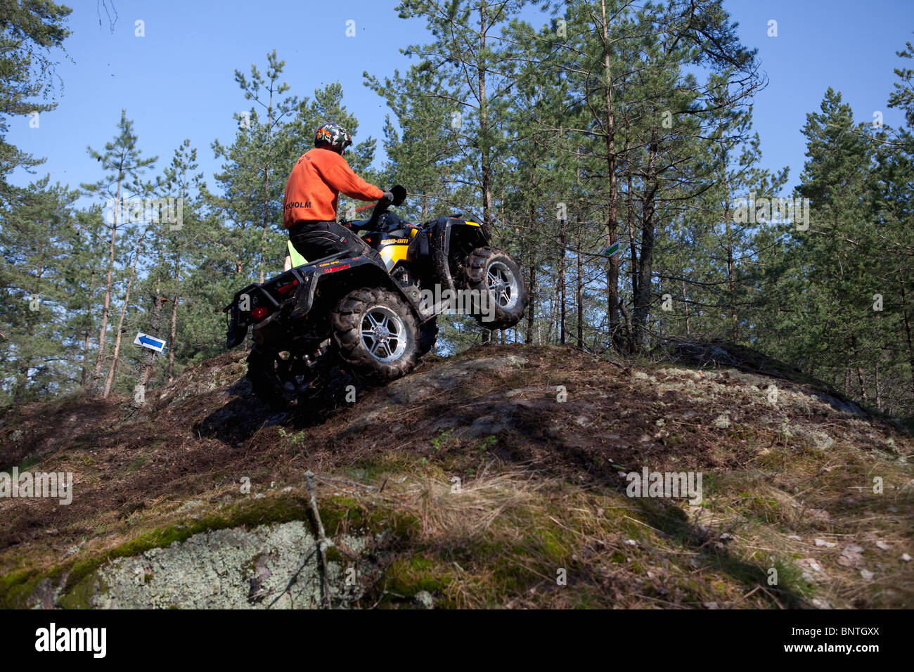 La conduite de VTT dans le bois Banque D'Images