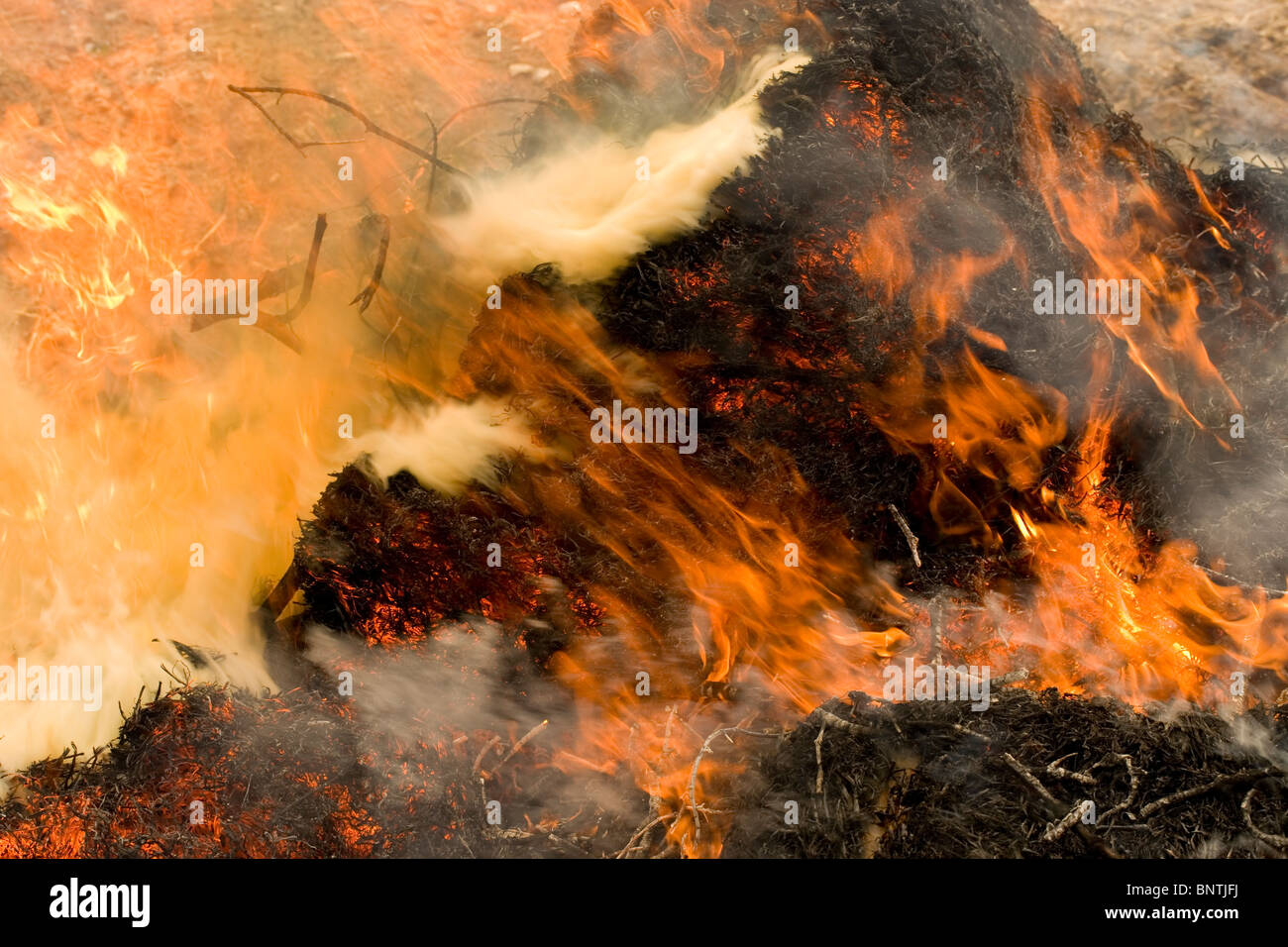 Feu le feu. Les flammes ; la fumée. Banque D'Images