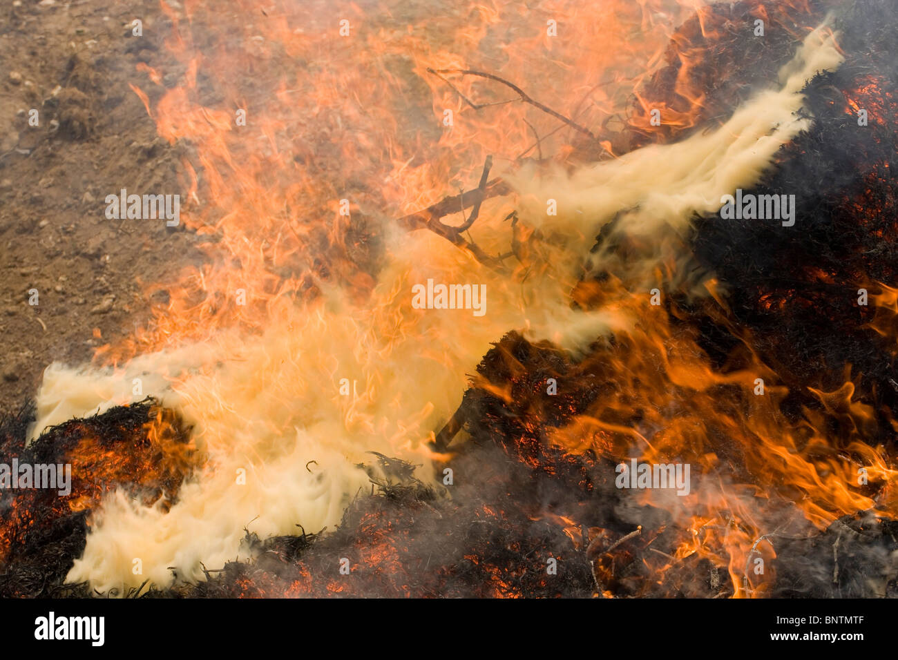 Feu le feu. Les flammes ; la fumée. Banque D'Images