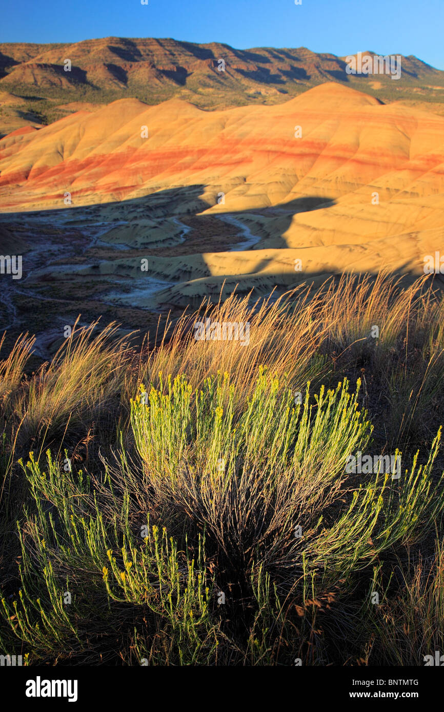Painted Hills est une des trois unités de la John Day Fossil jumeaux National Monument, situé dans la région de Wheeler County, Oregon Banque D'Images