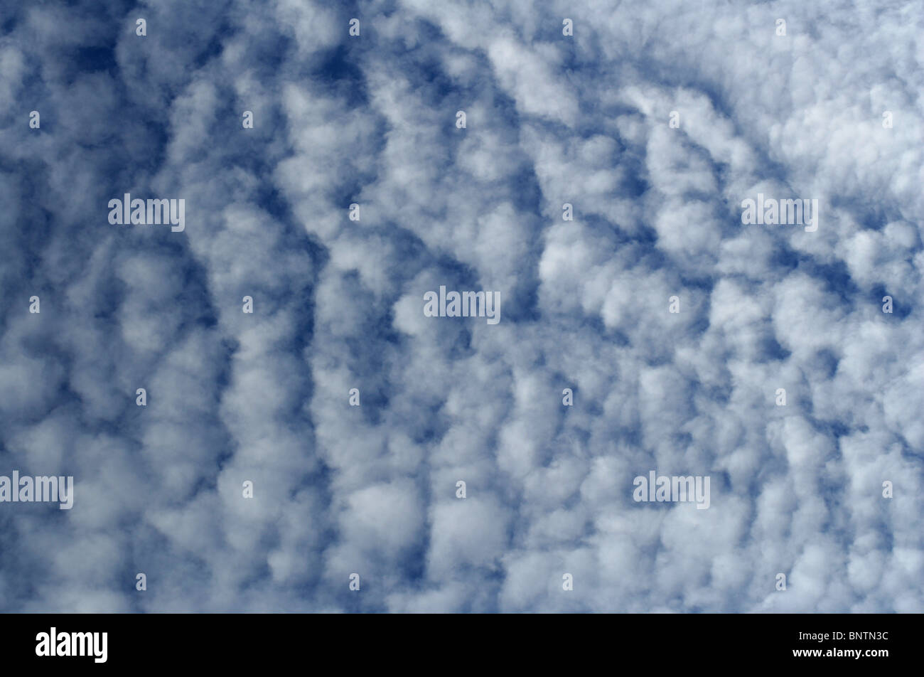 La formation des nuages - ackerel "Sky' Banque D'Images