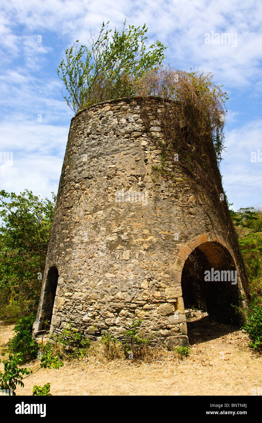 Vieux moulin à sucre ruines Carriacou, Grenade, Îles du vent, Caraïbes. Banque D'Images