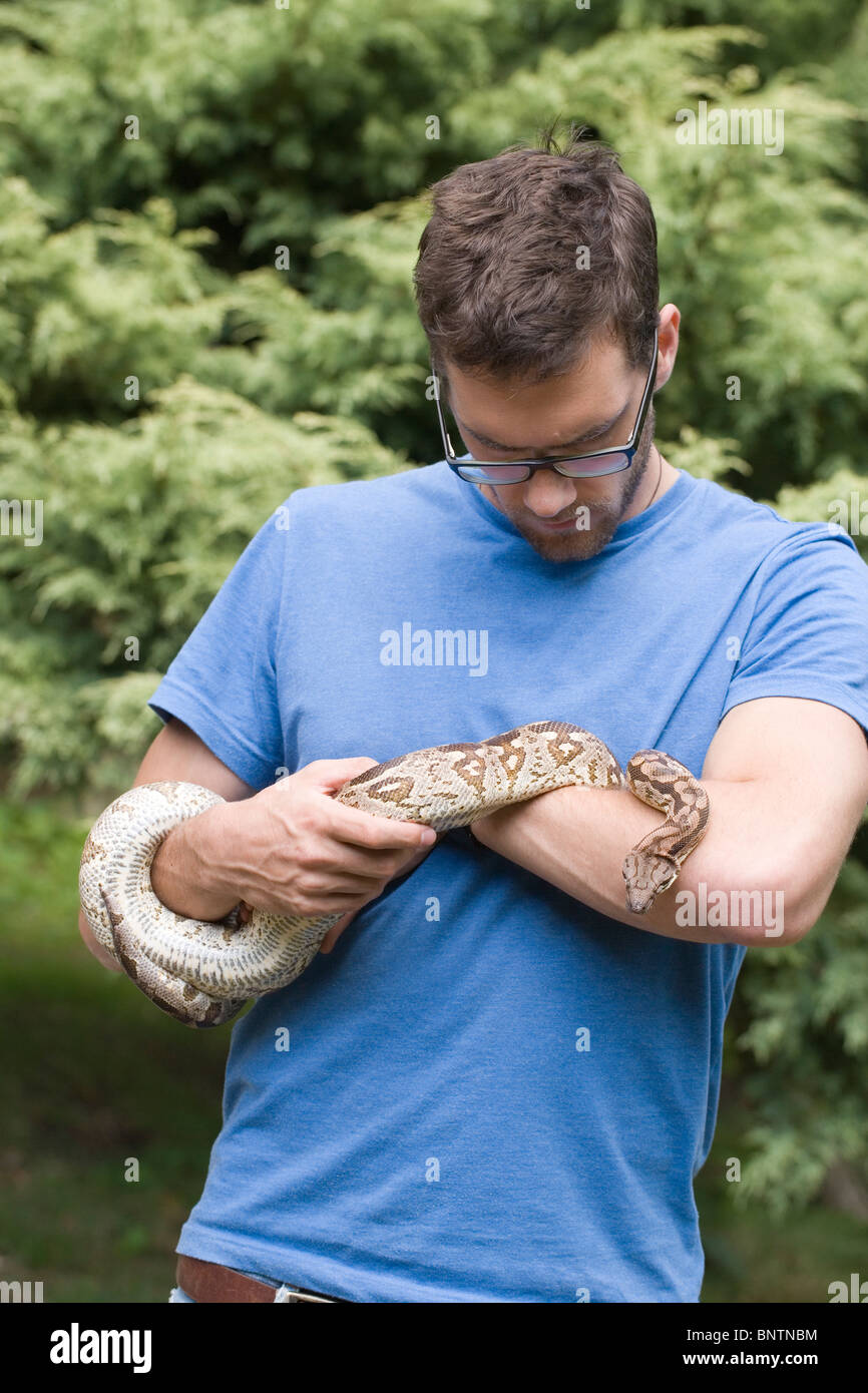 Le Boa Dumeril Boa (dumerilli). Man holding live animal. Banque D'Images