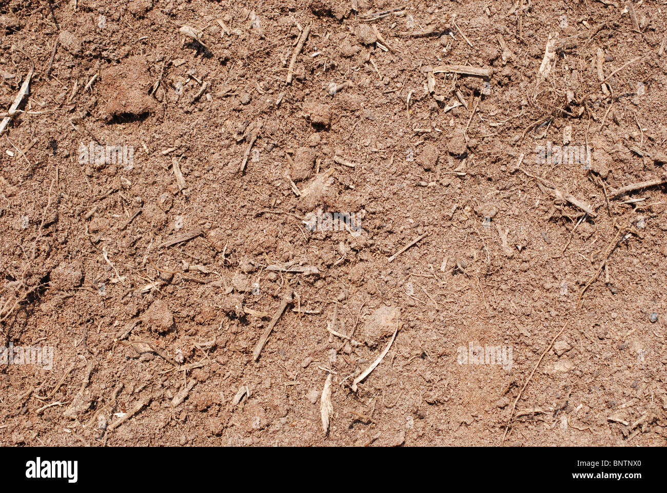 Libre de saleté pour l'utilisation d'arrière-plan. Banque D'Images