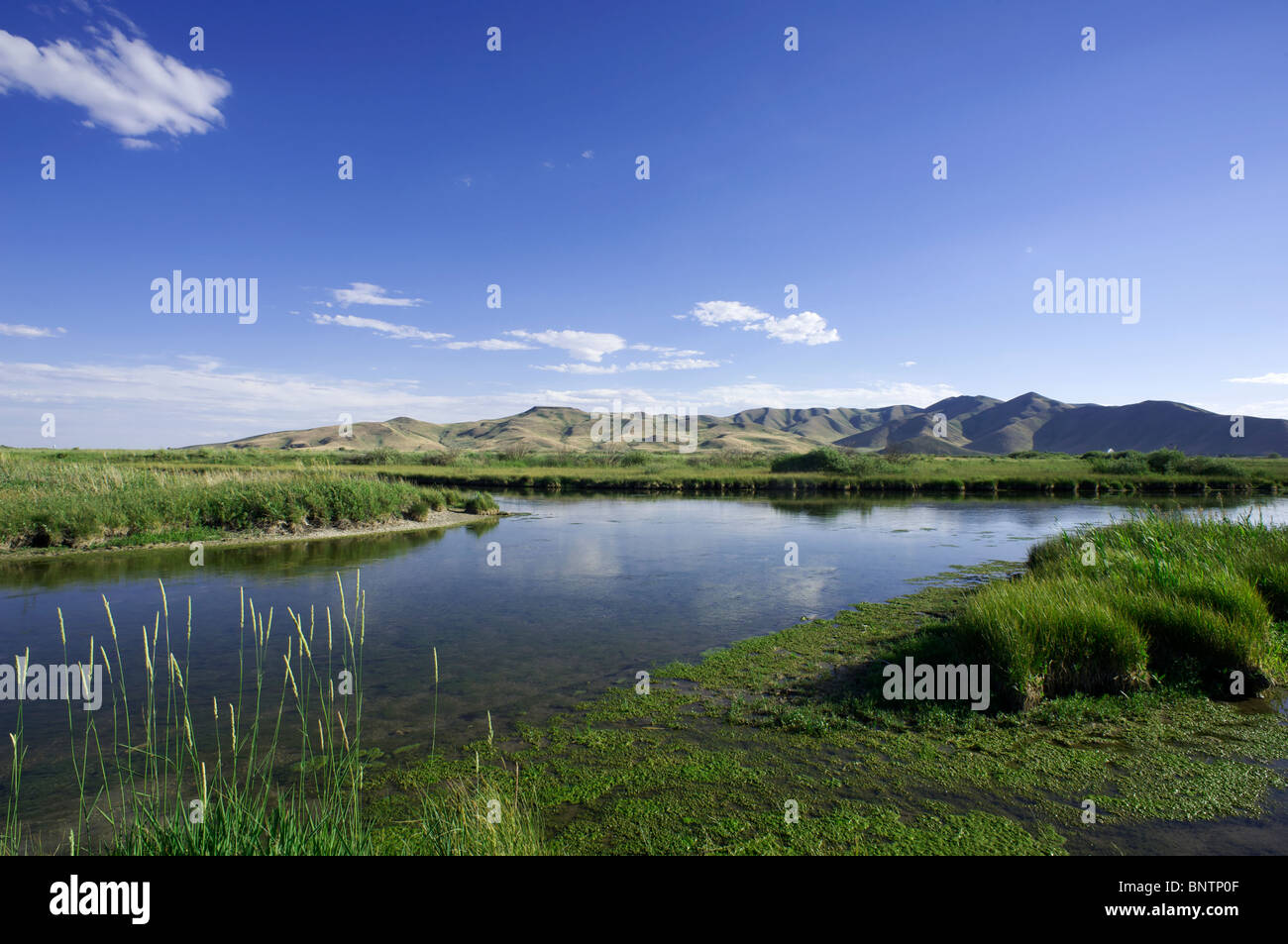 The Nature Conservancy's Silver Creek Préserver, situé près de Sun Valley, Idaho Banque D'Images