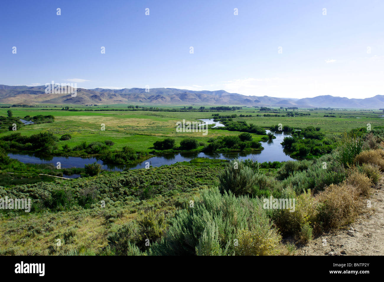 The Nature Conservancy's Silver Creek Préserver, situé près de Sun Valley, Idaho Banque D'Images