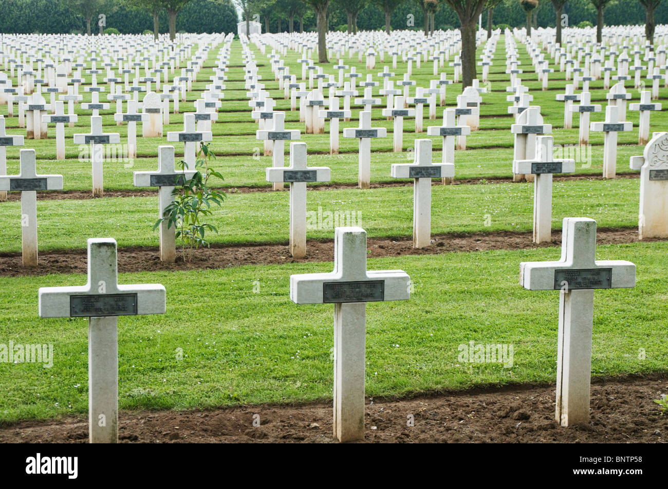 Cimetière militaire français Dompierre-Becquincourt Somme France Banque D'Images