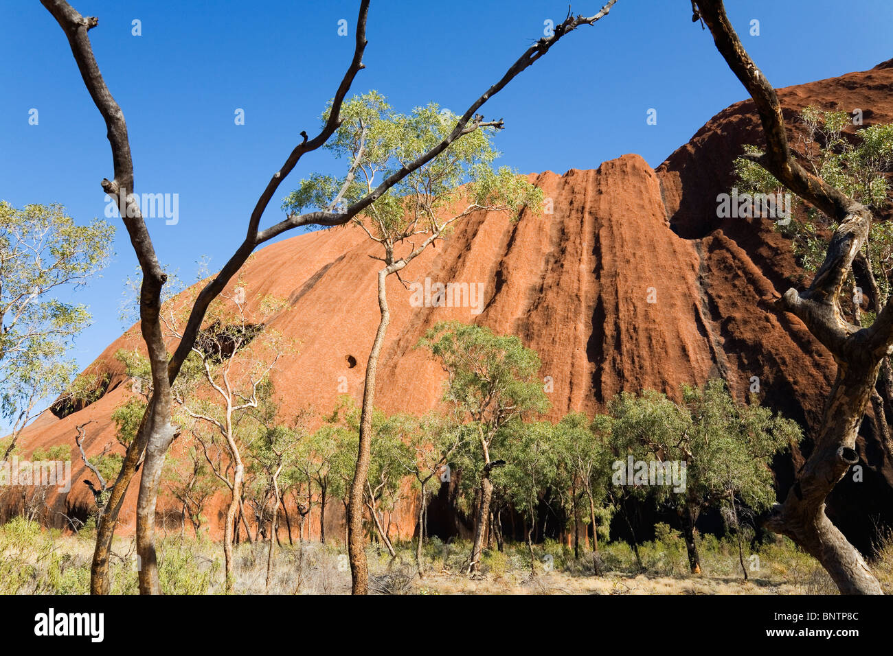 Uluru (Ayers Rock). Le Parc National d'Uluru-Kata Tjuta, Territoire du Nord, Australie. Banque D'Images