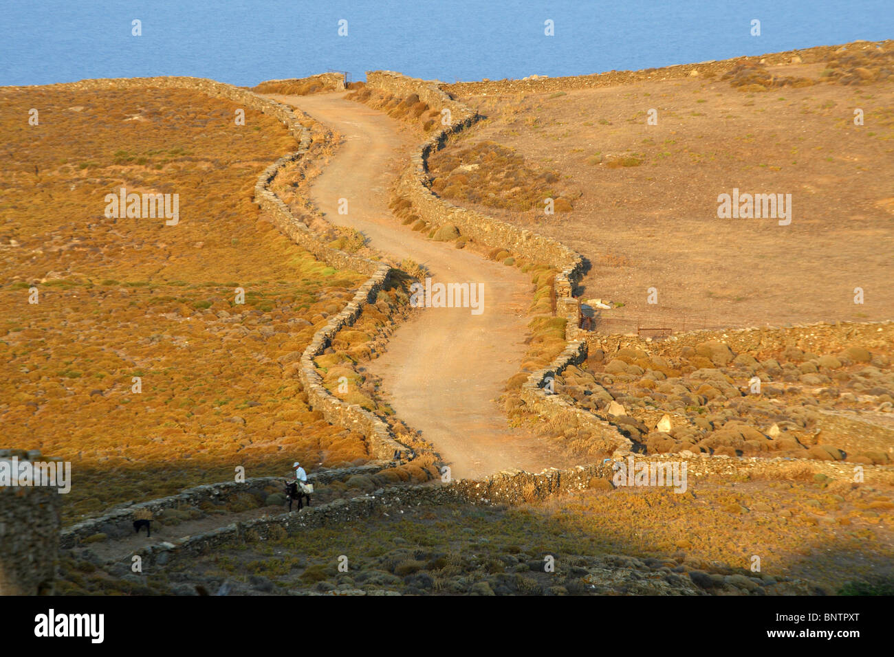 Transport traditionnel dans l'île de Kythnos Cyclades Grèce Banque D'Images