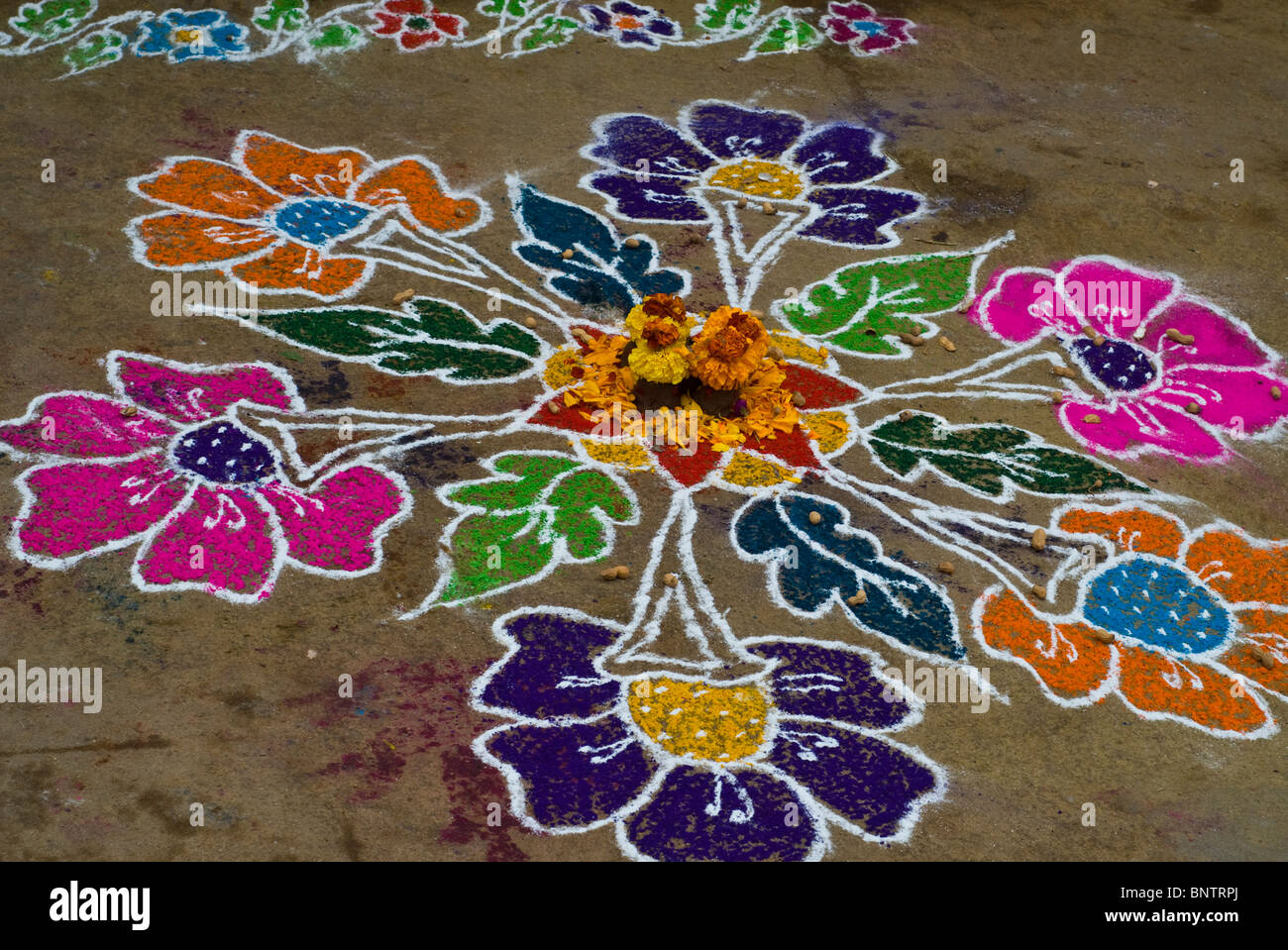 Pongal festival conçoit devant accueil / maisons Banque D'Images