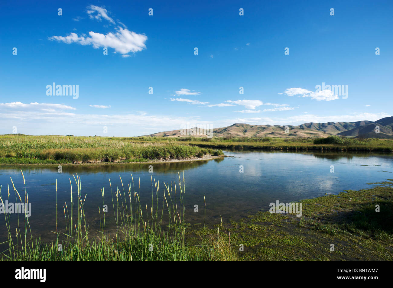 The Nature Conservancy's Silver Creek Préserver, situé près de Sun Valley, Idaho Banque D'Images
