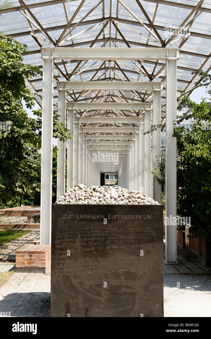 La rose blanche resistance allemand Banque de photographies et d’images
