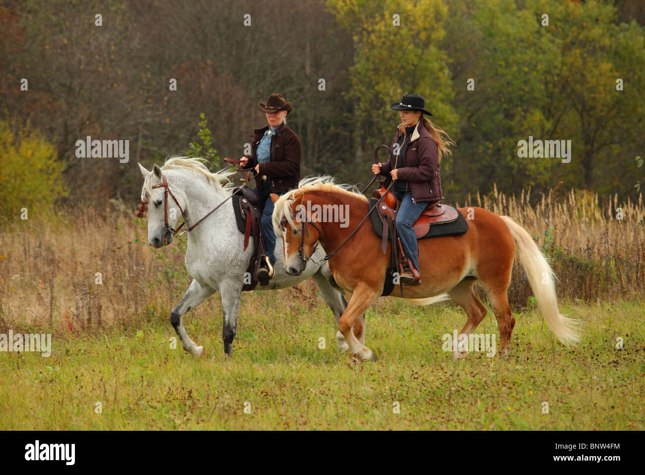 Deux cavaliers sur une randonnée Banque D'Images