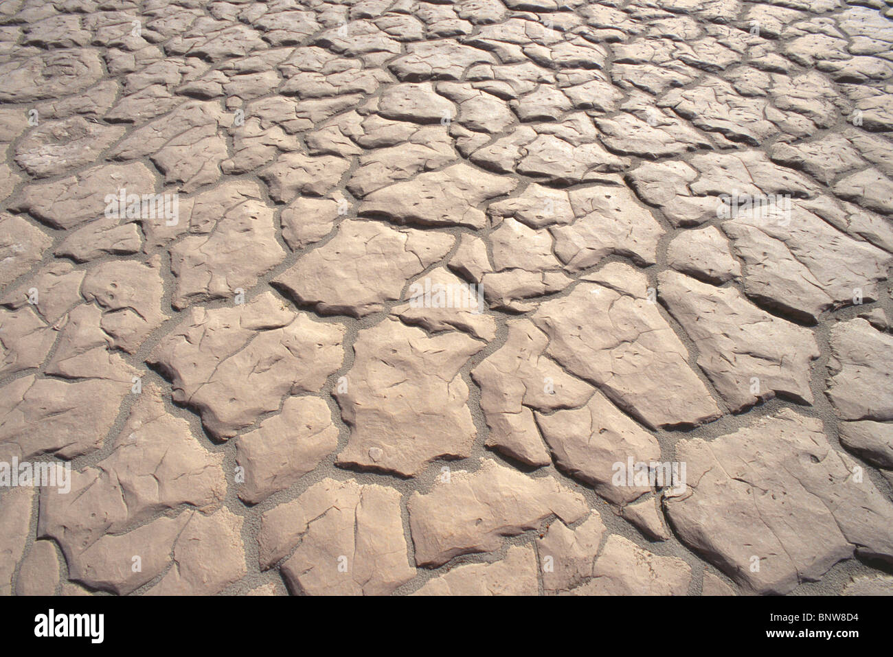 Motif en mosaïque de sol du désert, la vallée de la mort, Californie, USA. Banque D'Images