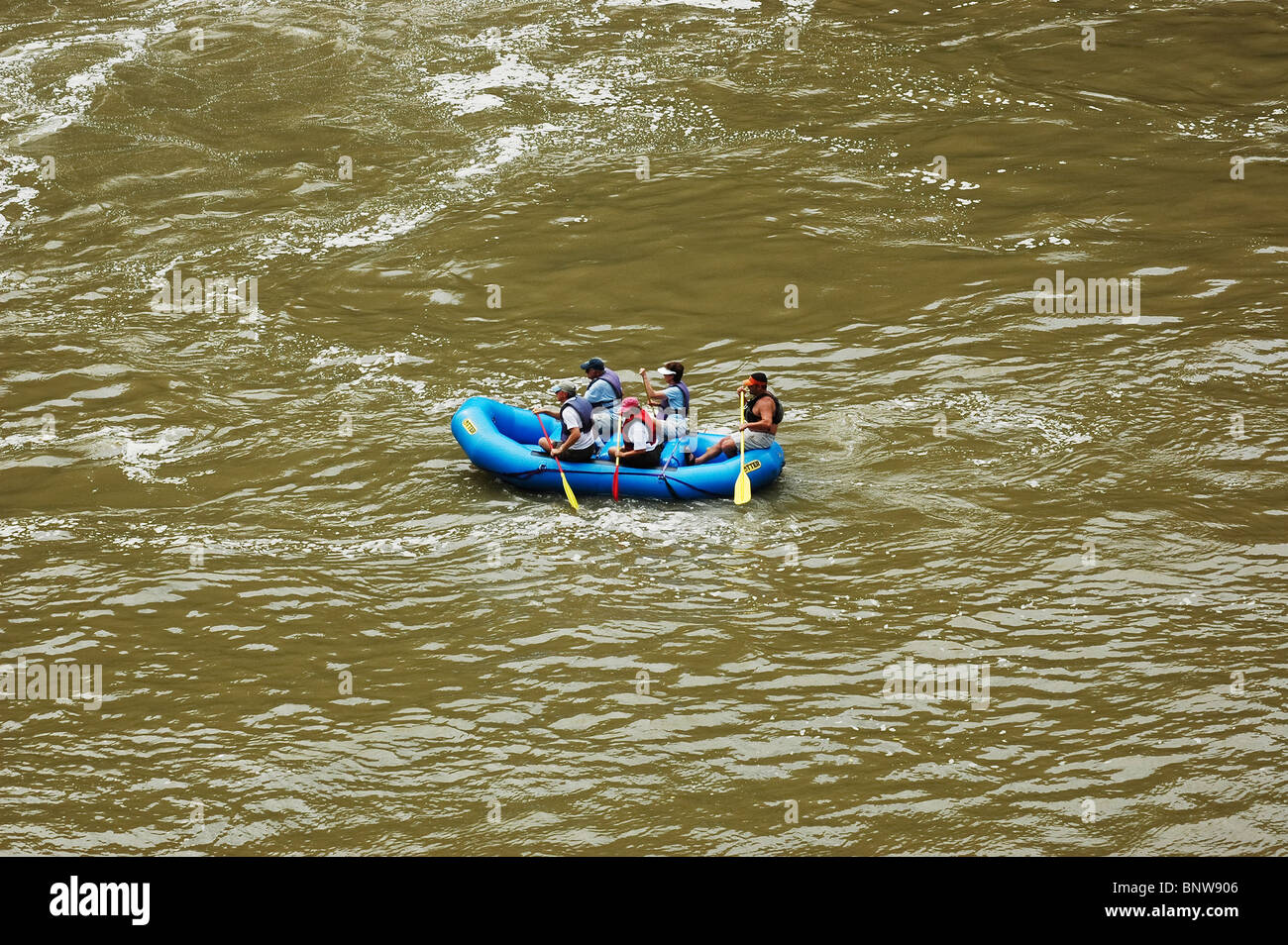Le rafting sur la rivière Cumberland, KY. Banque D'Images