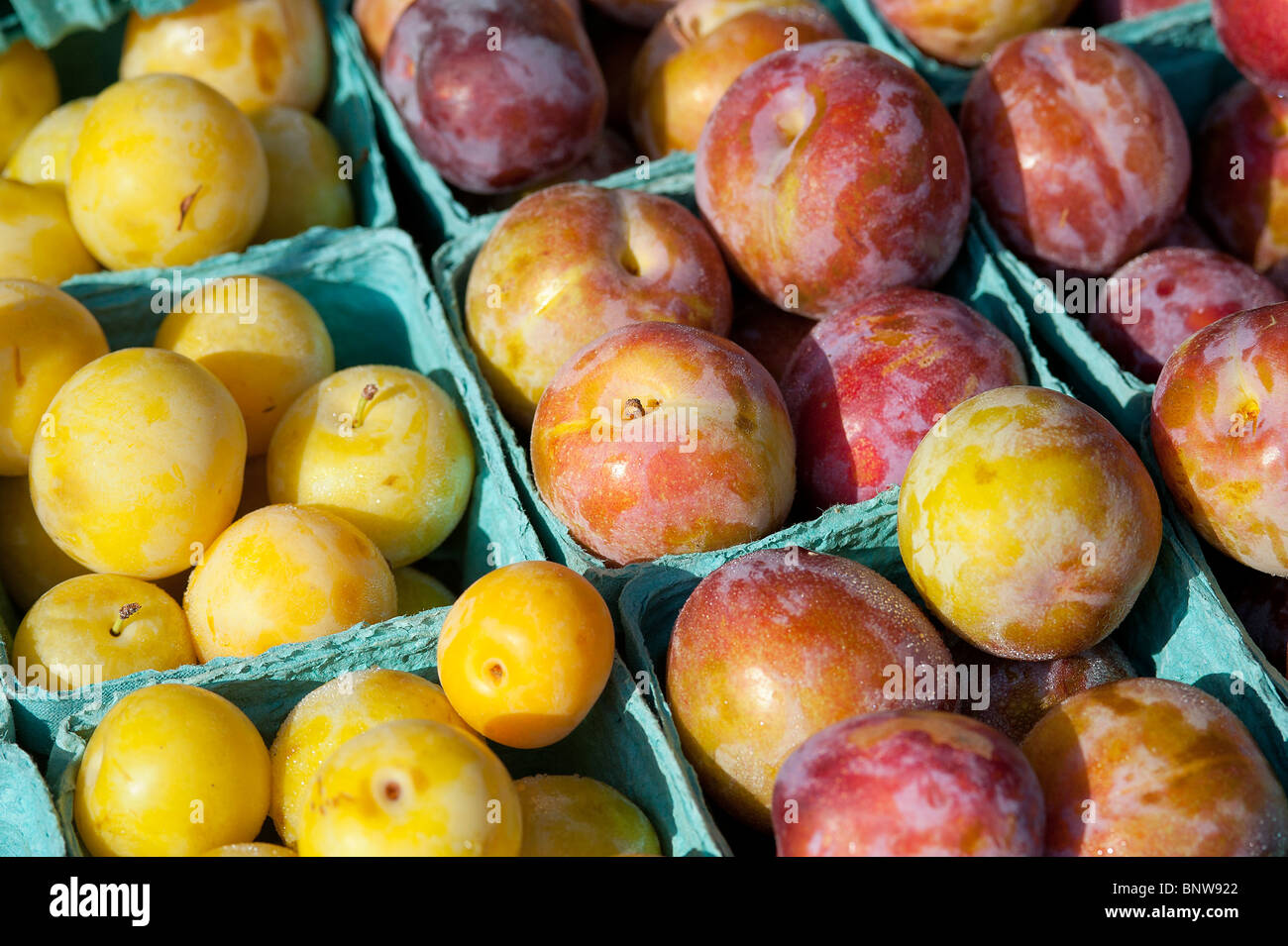 Les prunes à vendre à un marché de producteurs. Banque D'Images