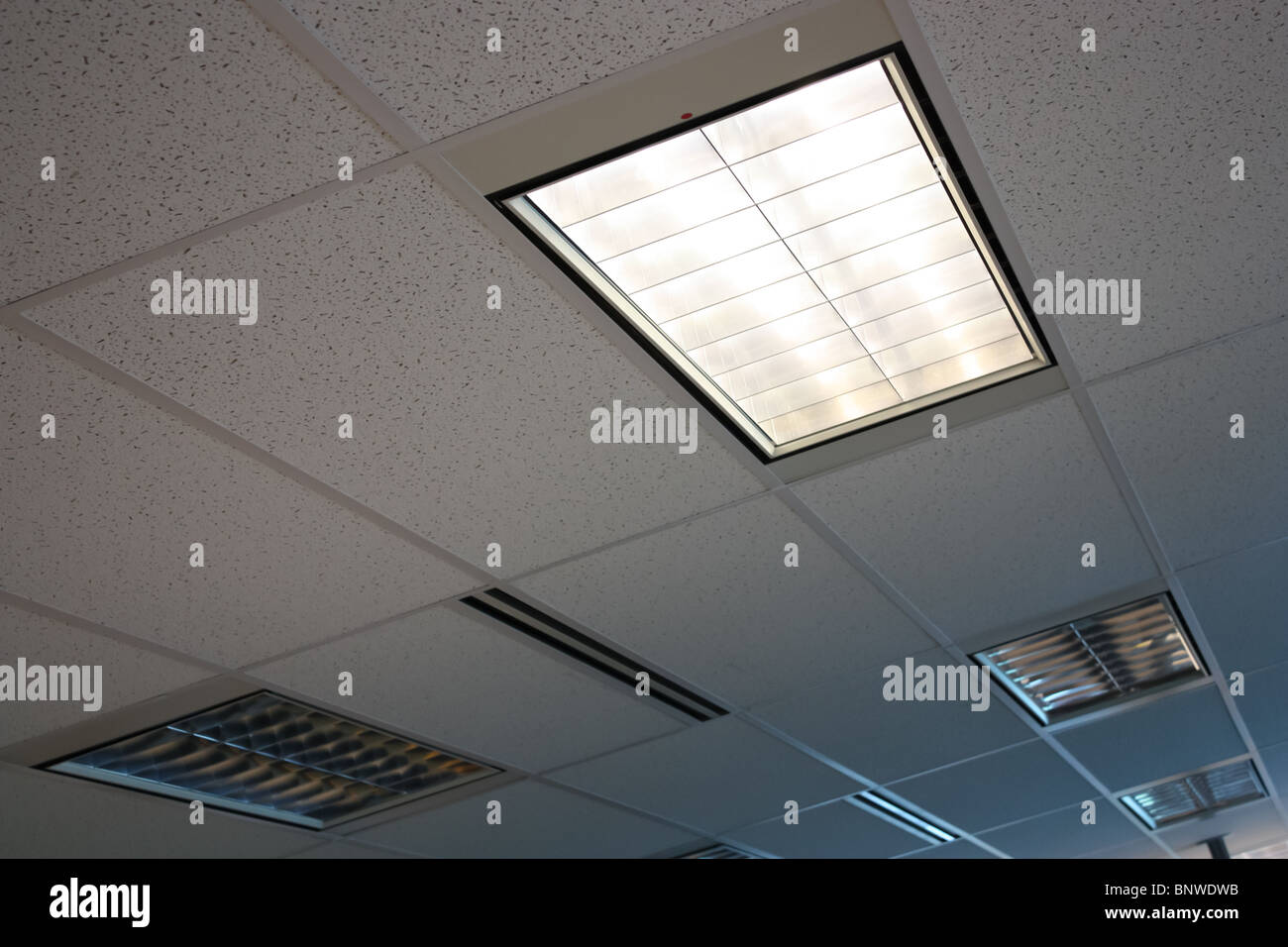 Plafond bureau salle de banquets d'éclairage Banque D'Images