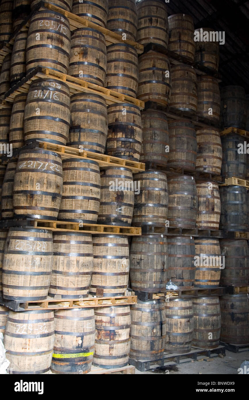 Barils de whisky à la Distillerie Glen Moray, Speyside, en Ecosse Banque D'Images