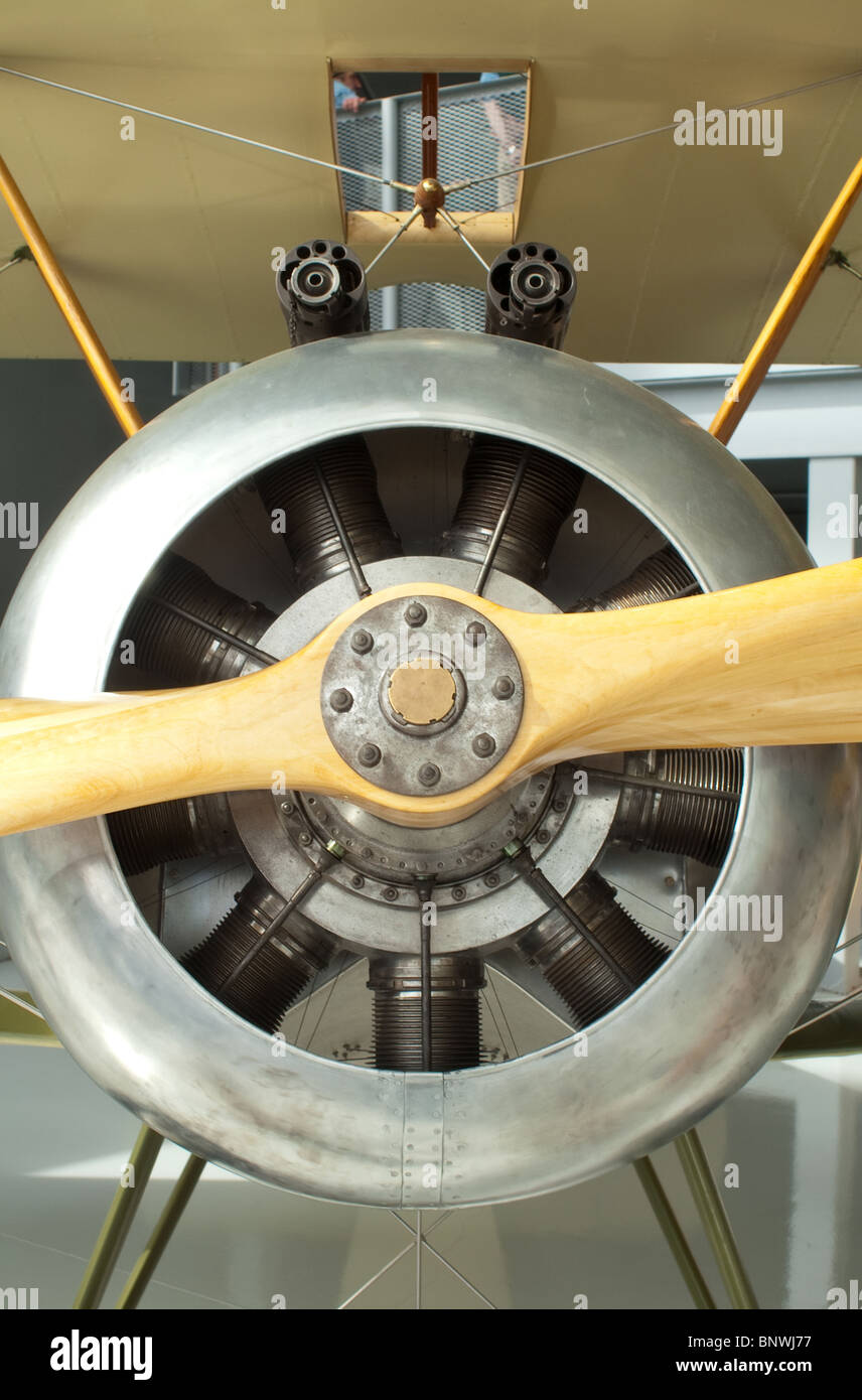 Hélice Avion Sopwith Camel 186cm – Réplique En Bois Massif, Patine Ancienne