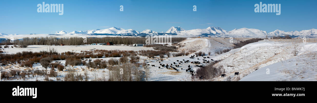 Un ranch en face de Montagnes Rocheuses enneigées, Montana, USA. Banque D'Images