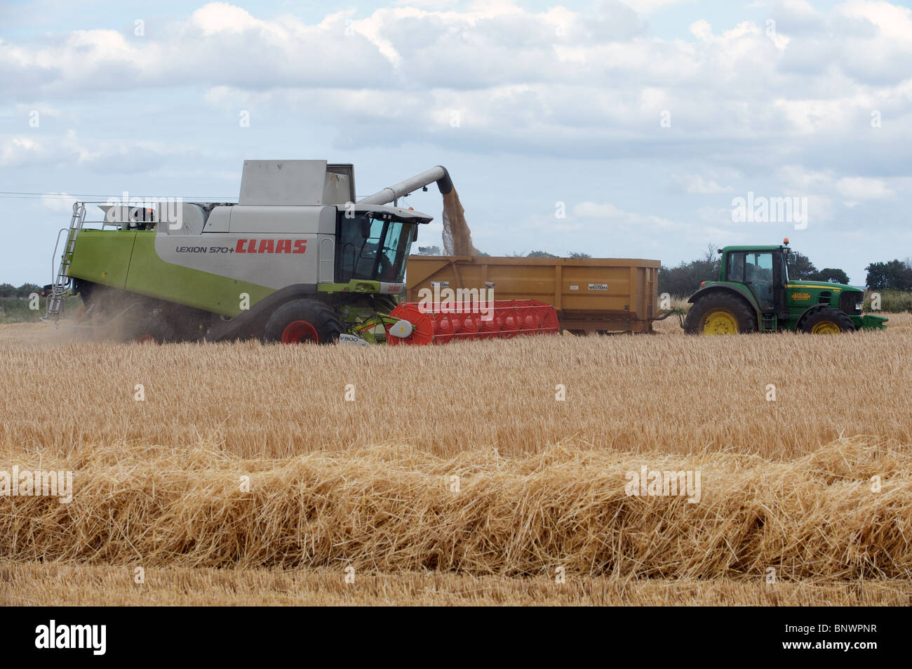 La récolte de blé, Suffolk, Angleterre. Banque D'Images