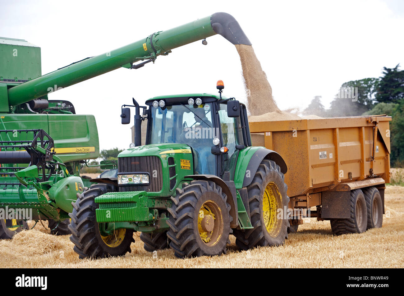 La récolte des céréales, Suffolk, UK. Banque D'Images